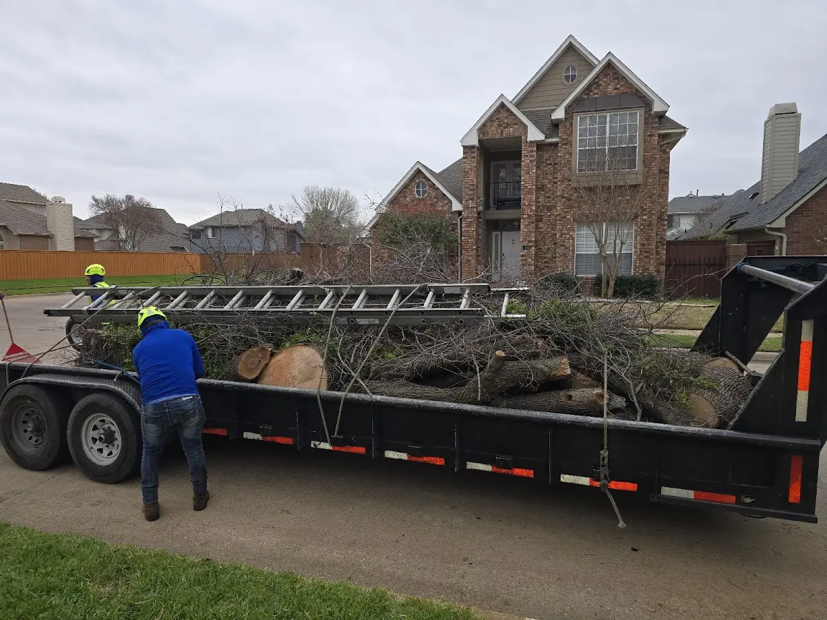 Expert Lot Clearing with proper safety equipment in Ault